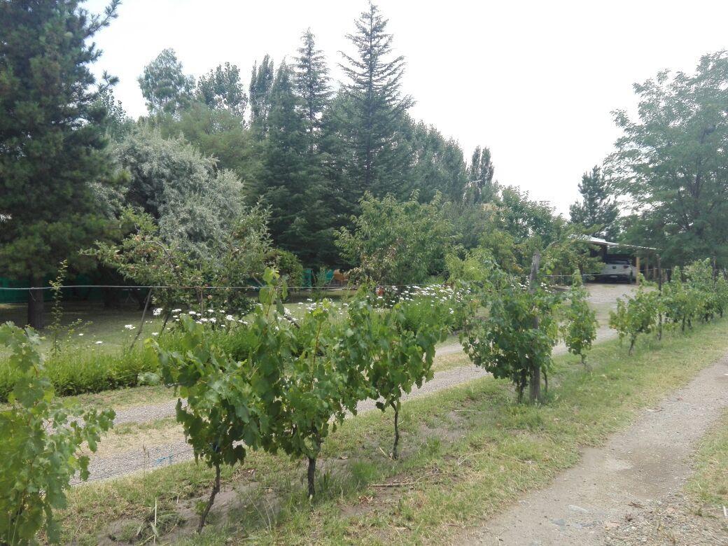 Casa Rural Entre Bodegas Y Vinedos ' El Jarillal" Pension La Consulta Buitenkant foto