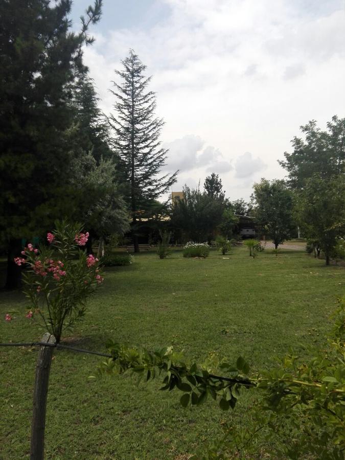 Casa Rural Entre Bodegas Y Vinedos ' El Jarillal" Pension La Consulta Buitenkant foto